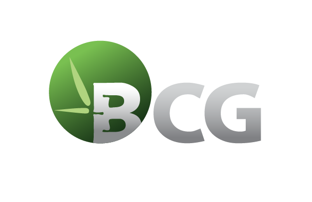 Bamboo Capital