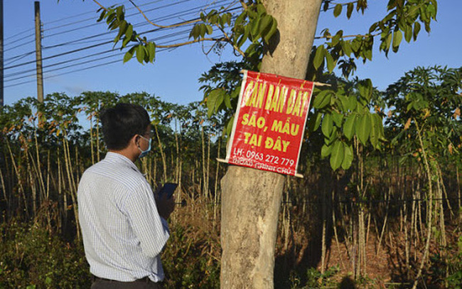 Giàu lên nhờ bất động sản, nhà đầu tư kỳ cựu này "bật mí" bí quyết ít gặp rủi ro