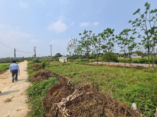 Lãi suất ngân hàng thấp sẽ tạo ra đợt tăng giá đất mới?